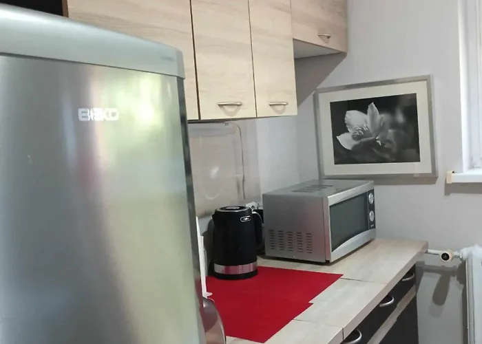 Mieszkanie Centrum *